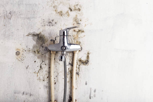 Best Office Mold Removal Services  in Franklinton, LA