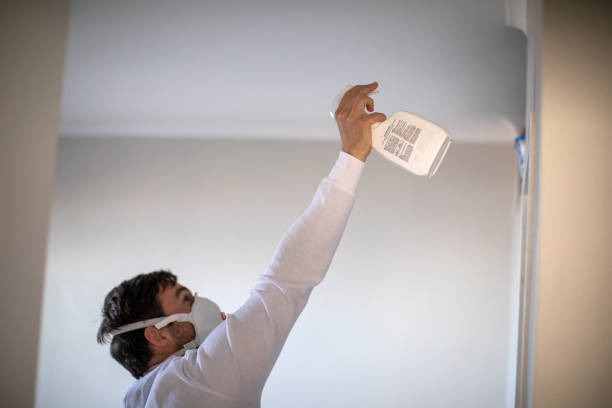 Best Black Mold Removal  in Franklinton, LA