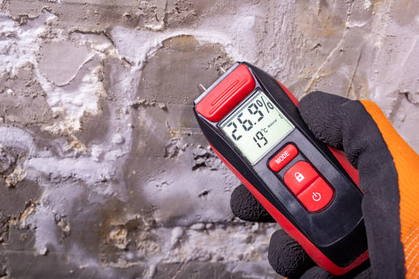 Best Mold Removal Process  in Franklinton, LA