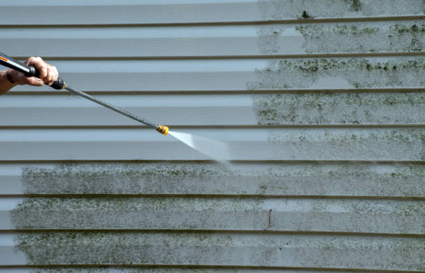 Mold Removal Process in Franklinton, LA