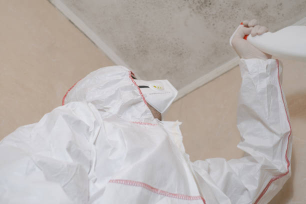 Best Residential Mold Removal  in Franklinton, LA