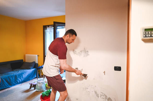 Best Mold Removal Company Near Me  in Franklinton, LA
